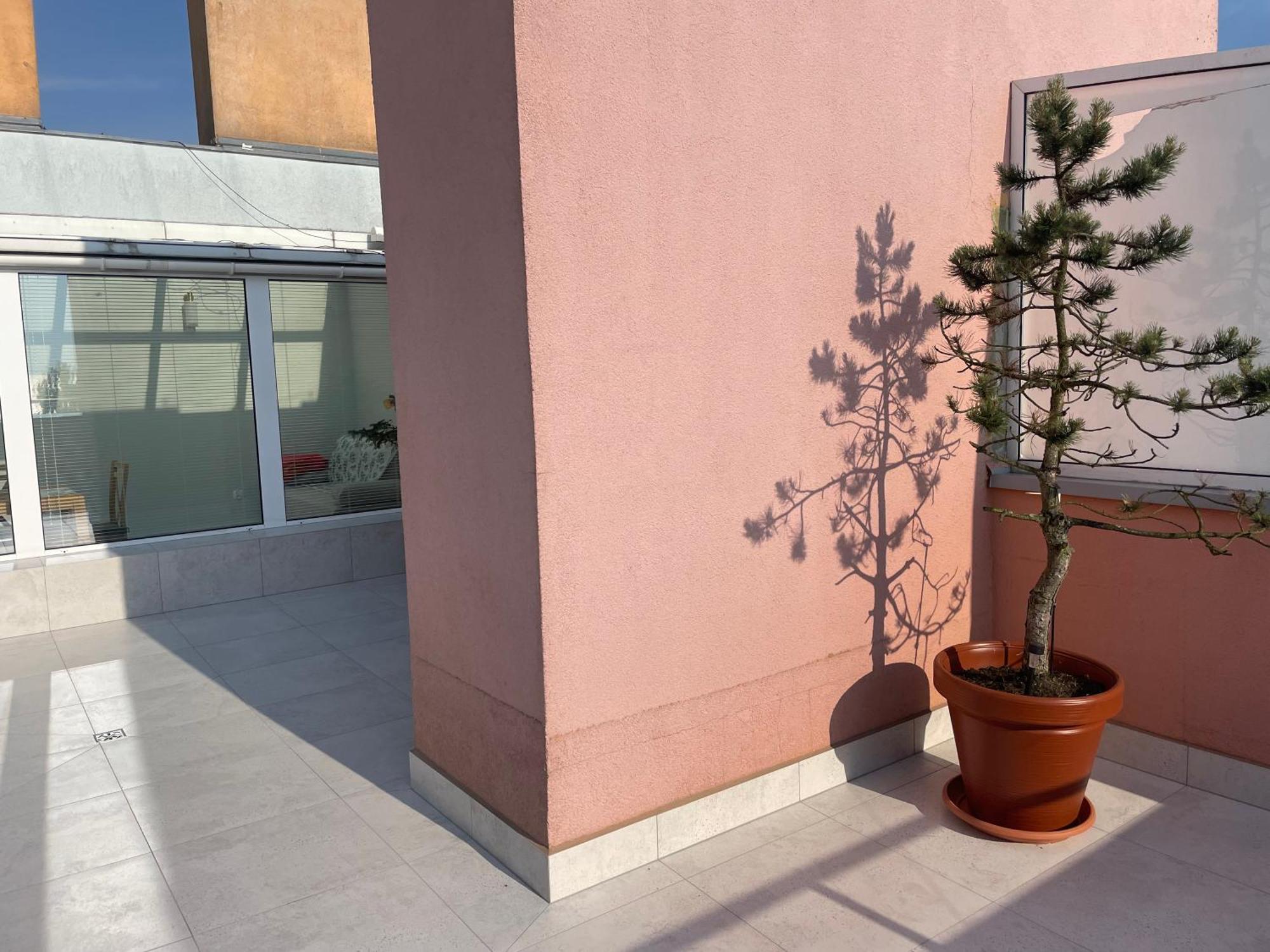 Wolin-Travel Fala Apartamenty Z Widokiem Na Morze Miedzyzdroje Dış mekan fotoğraf